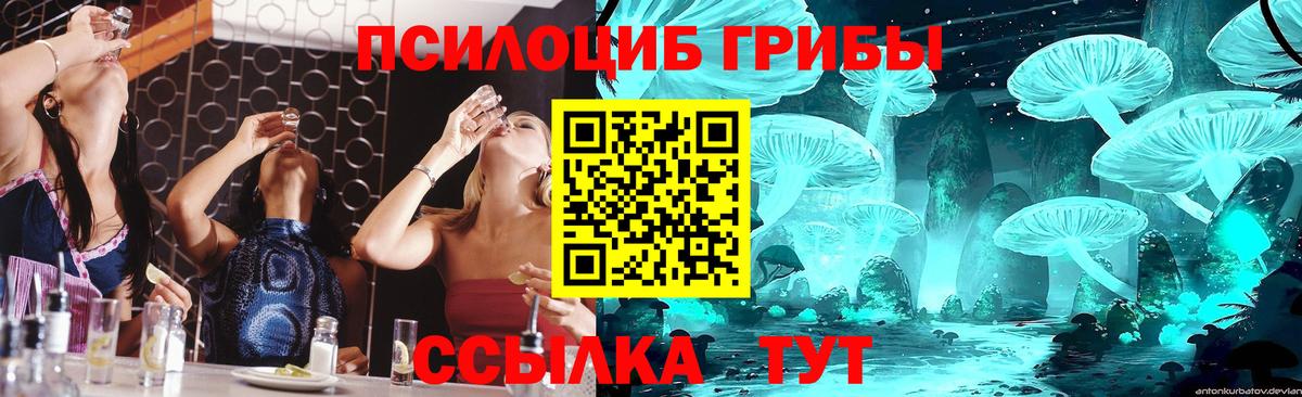 Псилоцибиновые грибы ЛСД  Галлюциногенные грибы прущие грибы  Краснознаменск  Вход с VPN 