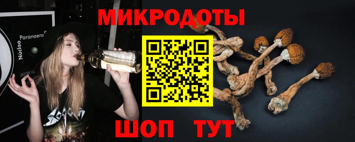 Галлюциногенные грибы Psilocybine cubensis Краснознаменск